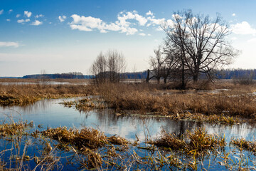 Przedwiośnie w Dolinie Narwi, Podlasie, Polska