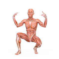 average man muscle maps is crouched but with style