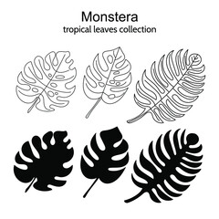 Hand-draw set of tropical monstera leaves. Exotic plant - Monstera Deliciosa. Black contours isolated on a white background. Vector stock illustration for cards, flyers, stickers, textile, web design.