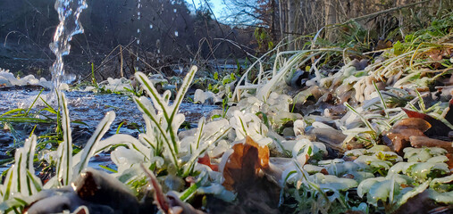 green grass near the lake covered with ice