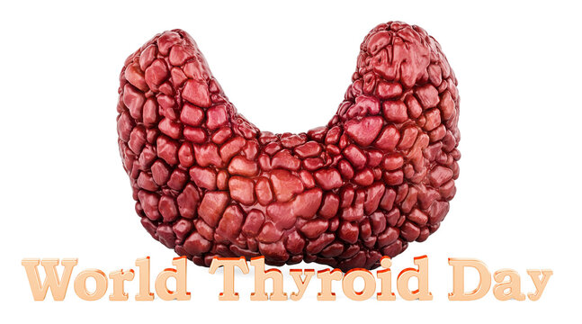 World Thyroid Day concept. 3D rendering