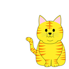 A fat tabby cat with a white background