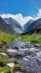 Fototapeta na wymiar Midagrabindon river. Russia, North Ossetia