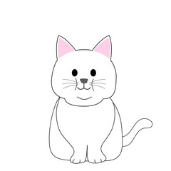 A fat white cat with a white background