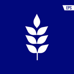 Wheat vector icon illustration sign