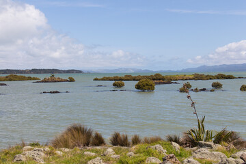 Picturesque landscape at Ambury Regional Park, Auckland, New Zealand.