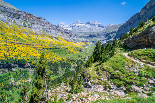 Views of the steps of Soaso and waterfall of the horse tail in the background .