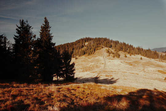 G&oacute;rski krajobraz. Beskid żywiecki, okolice Wielkiej Rycerzowej, tzn. szczytu g&oacute;rskiego.