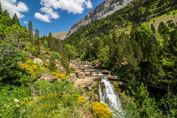 Waterfalls of the river Ara in the Ordesa valley on a sunny day. - 487884010