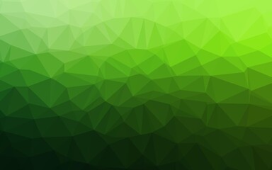 Obraz na płótnie Canvas Light Green vector low poly texture. Brand new colorful illustration in with gradient. Template for your brand book.