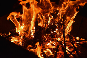 licking flames in a fire bowl and wood/branches