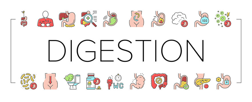 Digestion Disease And Treatment Icons Set Vector .