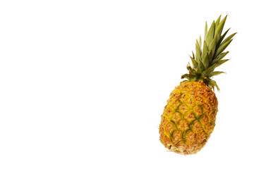 pineapple with green leaves, fruit isolated on white background with space for text
