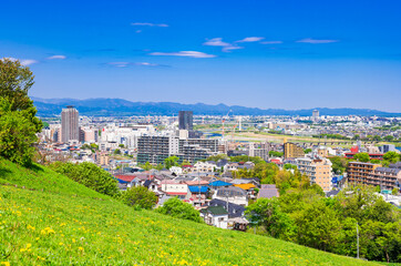 青空が広がる郊外の住宅地