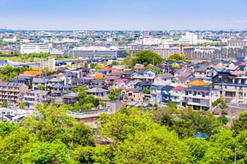 Fototapeta premium 青空が広がる郊外の住宅地