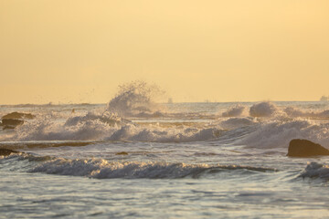 Tel Aviv coastline and skyline as seen from The Mediterranean sea. High quality photo