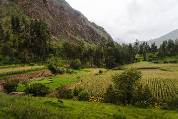 Fototapeta na wymiar Mountain peaks in the Andes Mountains in Peru. 