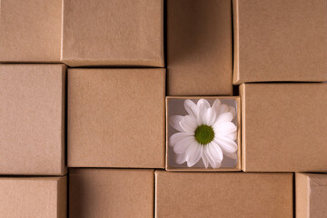 craft boxes of different sizes, with one white flower