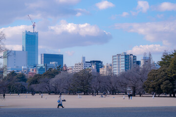 Obraz premium 東京都新宿区にある大きな公園の景色