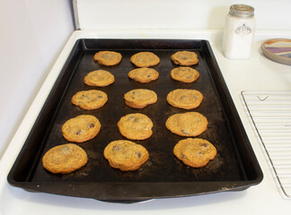 Homemade Chocolate Chip Cookies on Vintage Baking Sheet Fresh from the Oven in a Real Kitchen