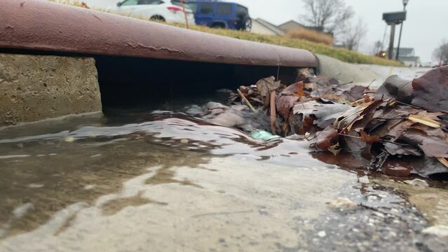 Water flows into a street drain after a rain