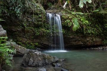 Fototapeta na wymiar Waterfall in Tropical Forest