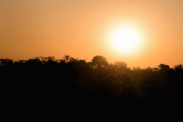 sunset in the forest
