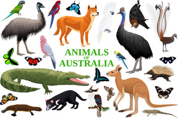 Vector set of Australian animals, birds, reptiles, insects and reptiles. - obrazy, fototapety, plakaty
