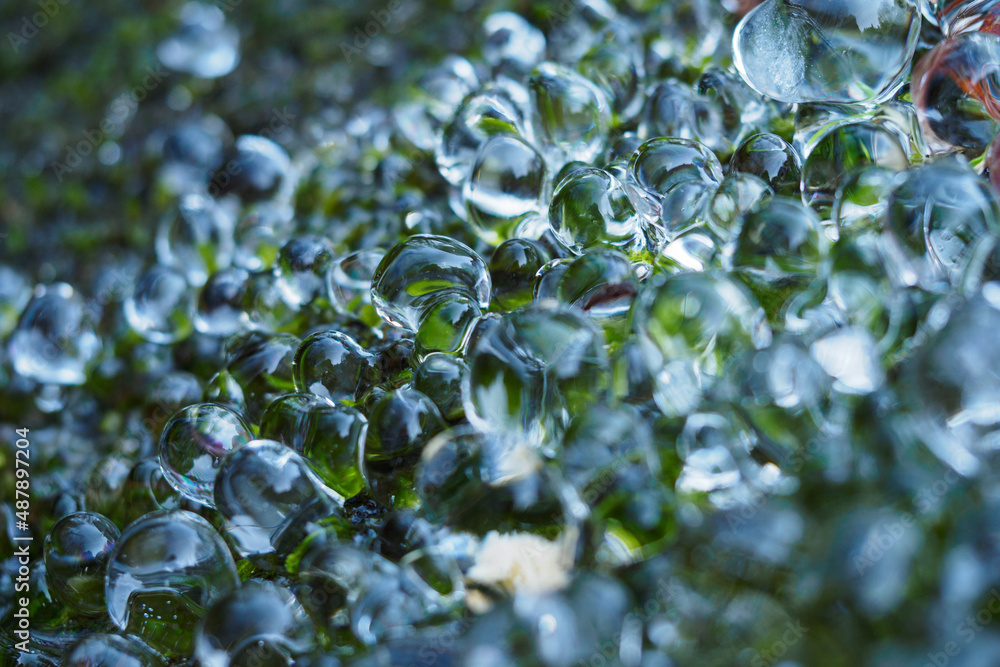 Canvas Prints frozen leaf of a plant in drops of water.