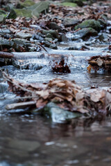 Ice on a branch above the surface of a flowing river.