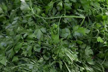 Ripe parsley sold in the market