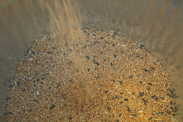Organic Chicken Scratch Grains Spilling in Long Exposure Shot into Galvanized Storage Container