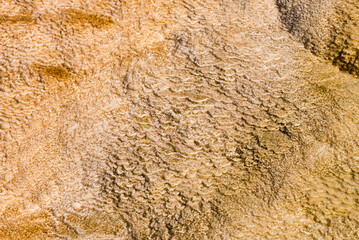 Details of the rock formations in the Mammoth Hot Springs at Yellowstone National Park, Wyoming, USA