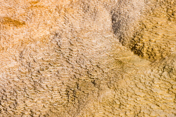 Details of the rock formations in the Mammoth Hot Springs at Yellowstone National Park, Wyoming, USA