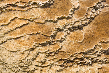 Details of the rock formations in the Mammoth Hot Springs at Yellowstone National Park, Wyoming, USA