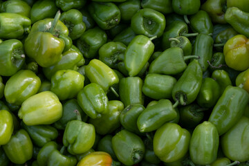 Obraz na płótnie Canvas Ripe green pepper sold in the market