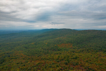 Aerial View of Fall Trees with Foliage in Maryland 