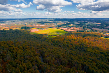 Aerial Drone View of Fall Forest With Foliage Amongst Blue Cloudy Skies