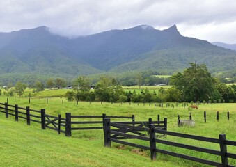 Fototapeta na wymiar landscape with fence
