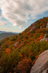 Old Rag Virginia Trees with Foliage 