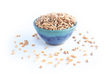Organic Spelt Berries or Grains in Blue Pottery Bowl Isolated on White