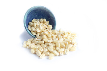 Whole Dried White Corn Grains Spilling From Bowl