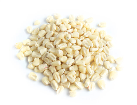Organically Grown Whole White Corn Seeds in Heap or Pile in Top Down View