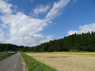 いなかの道