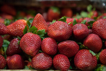 Fresas