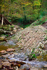 The stone bank of the stream in the forest