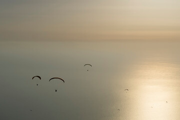 Paragliders flying over the sea during sunset time