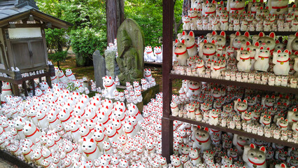 Hundreds of Maneki Neko are adorned along the paths in Gotokuji Temple, Setagaya ward, Japan