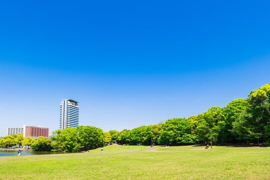 青空が広がる公園広場 © oben901