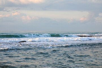 Tel Aviv coastline and skyline as seen from The Mediterranean sea. High quality photo